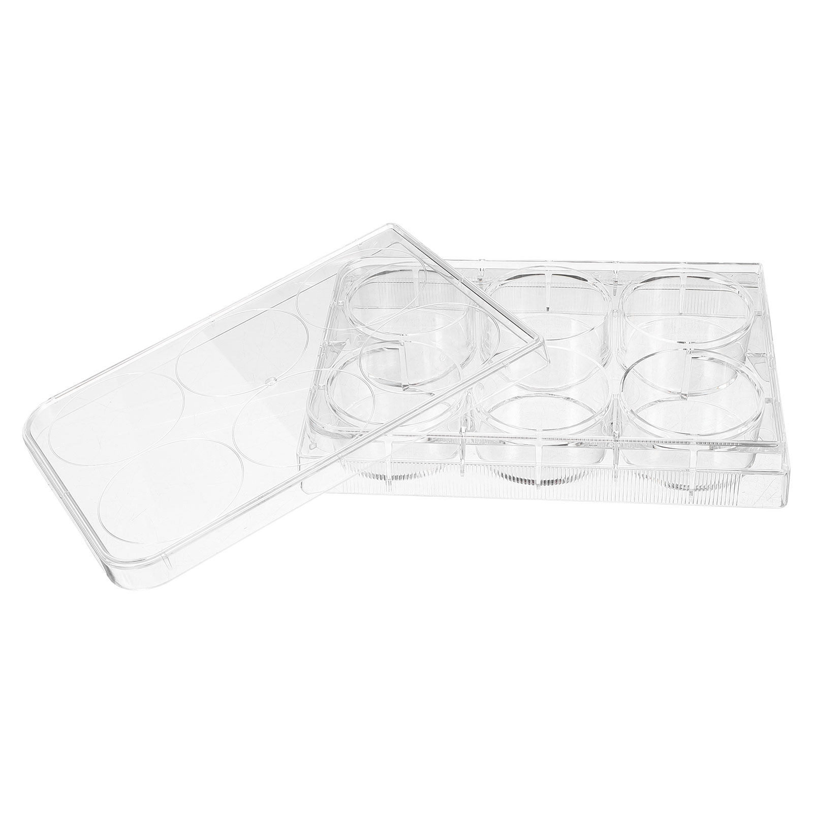 Lab Equipment - Placa de Cultivo de Tejidos, Diseño