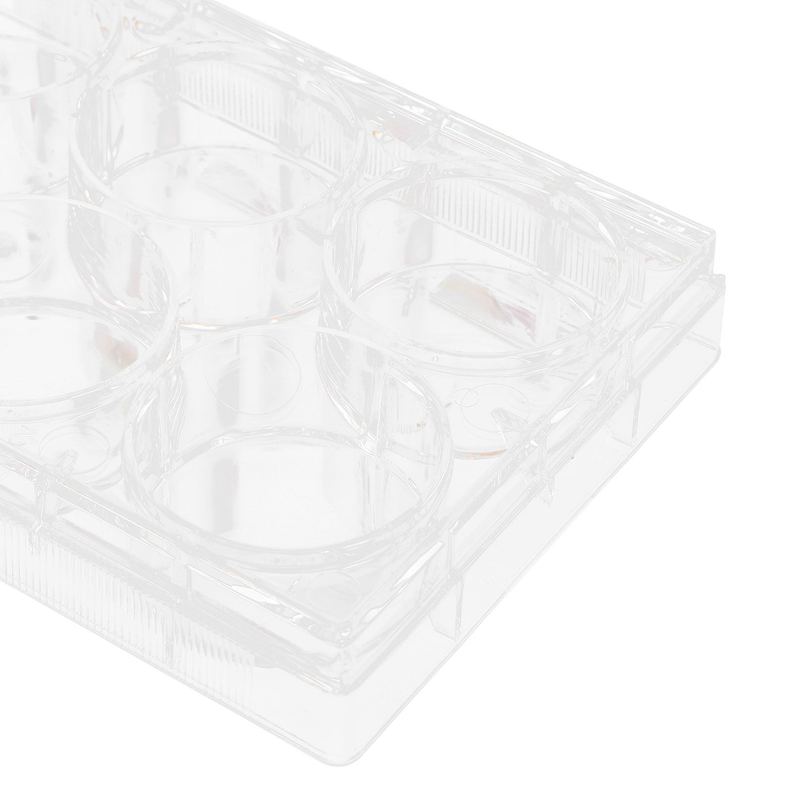 Placa de Cultivo de Tejidos de - Lab Equipment reseña y precio